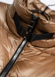 Daunengilet